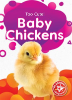 Baby_Chickens