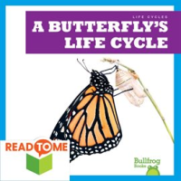 A_Butterfly_s_Life_Cycle