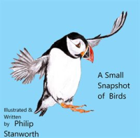 A_Small_Snapshot_of_Birds