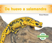 De_huevo_a_salamandra__Becoming_a_Salamander__