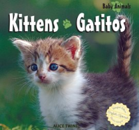 Kittens___Gatitos