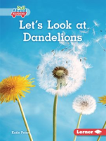 Let_s_Look_at_Dandelions