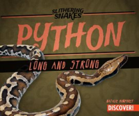 Python__Long_and_Strong