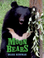 Moon_Bears