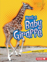 Meet_a_Baby_Giraffe