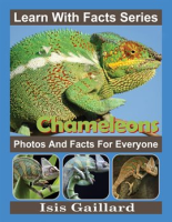 Chameleons_Photos_and_Facts_for_Everyone