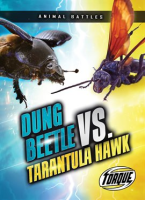 Dung_Beetle_vs__Tarantula_Hawk