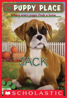 Jack__The_Puppy_Place__17_