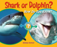 Shark_or_Dolphin_
