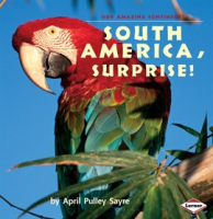South_America__Surprise_