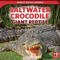 Saltwater_Crocodile__Giant_Reptile