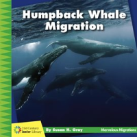 Humpback_Whale_Migration