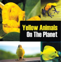 Yellow_Animals_On_The_Planet