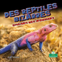 Des_reptiles_bizarres_effrayants_mais_int__ressants