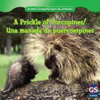A_Prickle_of_Porcupines___Una_manada_de_puercoespines