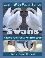 Swans_Photos_and_Facts_for_Everyone