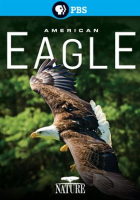 American_Eagle