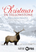 Christmas_in_Yellowstone