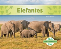 Elefantes__Elephants_