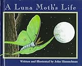 A_luna_moth_s_life