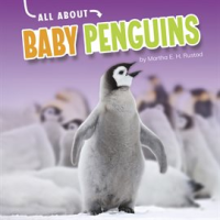 All_About_Baby_Penguins